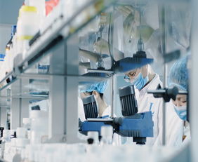 廣州蘿薇 次拋代加工廠(chǎng) 長(zhǎng)沙次拋代加工